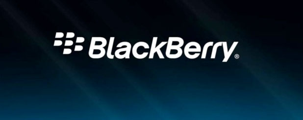 Blackberry Comeback